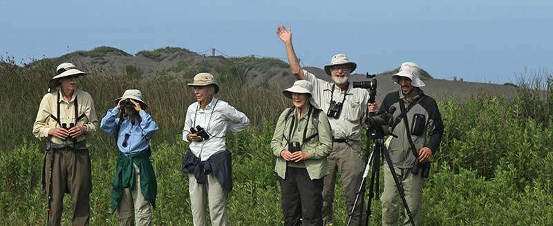 Birdwatching in Iran