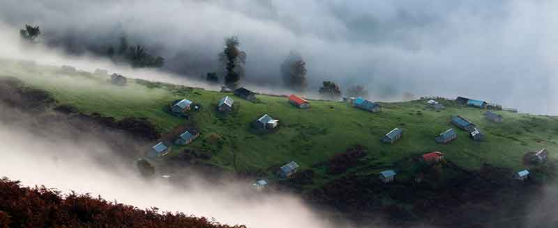 Nature Magic