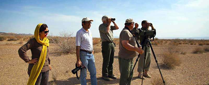 Birding in spring